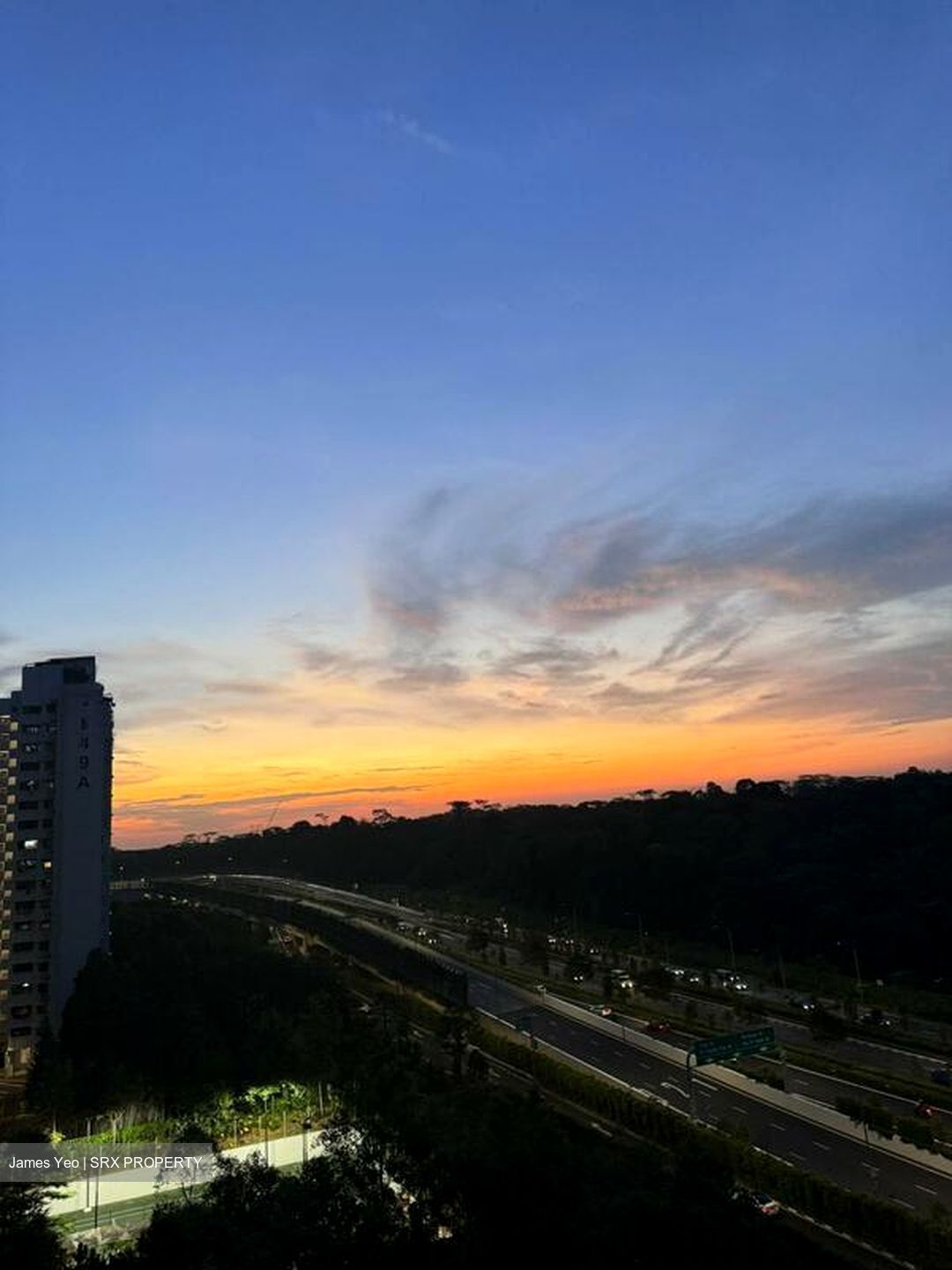 Blossom Residences (D23), Condominium #563473041